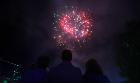 The growing evidence that fireworks distress animals builds the case to restrict use