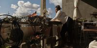 Elizabeth Gqoboka, the Sea Point chapter leader of Reclaim the City, relaxes on the balcony of the flat she occupies in Ahmed Kathrada House. (Photo: Chris de Beer-Procter)