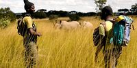 Rhinos in the background as Joseph Makowa speaks to a local man along his journey across Zimbabwe. (Screengrab: Wild Africa Fund)