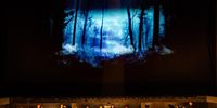 Lucia di Lammermoor. Set and design by Michael Mitchell. Digital design by Kirsti Cumming.” Photographer: Nicky Elliott
