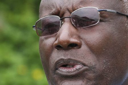 Johnson Sirleaf's opponents want a 'peace' of the limelight too