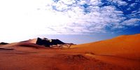 Sahara. Photographer: Brenda Shelley</p>
<p>P4U_readersubmission_20250502