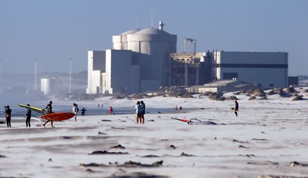 Parliament: New energy minister deals with controversies from nuclear, strategic fuel in maiden budget vote