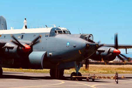 I have a picture for you! 01 November-07 November 2025