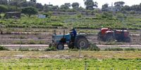  Tractors ploughing a field in the Philippi Horticultural Area in Cape Town, South Africa, Thursday, April 30, 2020. South Africa will begin a phased easing of its strict lockdown measures on May 1, in a continued attempt to contain the increase of coronavirus cases. The export of all agricultural, agro-processed, fishing and forestry products are allowed during lockdown level 4 .(Photo by Gallo Images/Nardus Engelbrecht)
