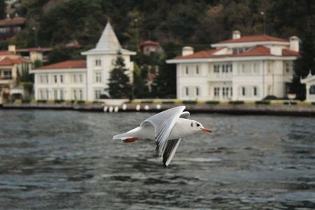 I have a picture for you! 14 March-20 March 2026