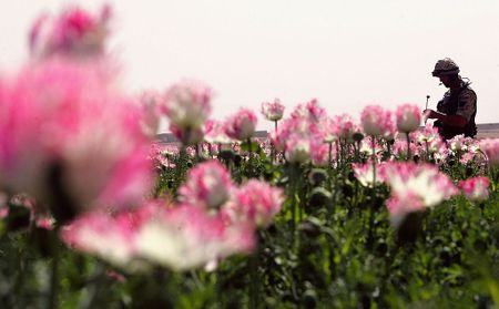 Afghanistan: What the conflict means for the global heroin trade