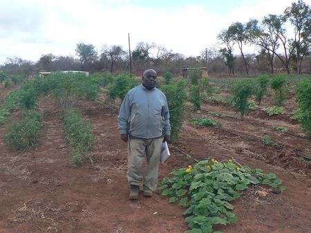 Limpopo farmers fear loss of land to Motsepe Foundation citrus project
