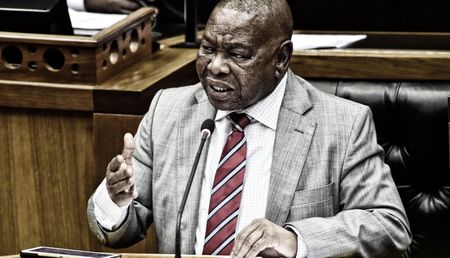 Analysis: Nzimande’s offer to cover the poor tests students’ resolve on free education