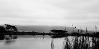 Serenity captured on 35mm, somewhere in KwaZulu-Natal. Photographer: Lance James Daniels