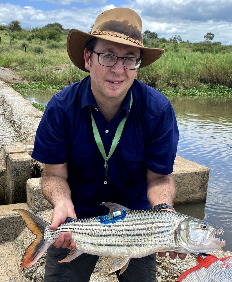How healthy is the ‘great grey-green, greasy Limpopo River’? %%page%%