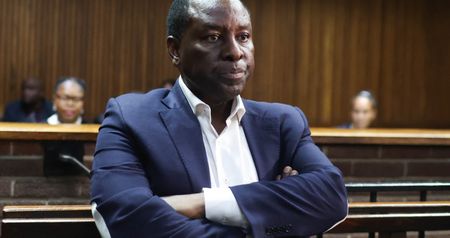 Mosebenzi Zwane and co-accused in Estina dairy corruption case set for trial in high court