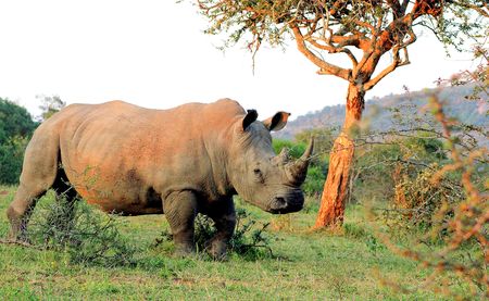 South Africa’s provincial nature reserves are dying — and with them, our conservation legacy