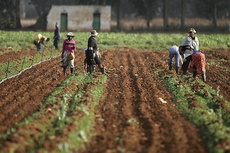 SA's land problem digs itself a deeper hole