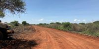 This road leads to the site where Ikwezi Vanadium is carrying out bulk sampling operations. The area is guarded by a private security company. GroundUp was not allowed to go beyond the security point. (Photo: Masego Mafata)