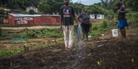 Community members in their garden. They each have turns working in the garden. Vegetables produced in the garden are distributed among community members and sold to generate an income. The garden is named after activist Nkululeko Gwala. (Photo: Shiraaz Mohamed)
