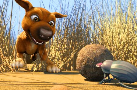 ANALYSIS: The Jock of the Bushveld dilemma