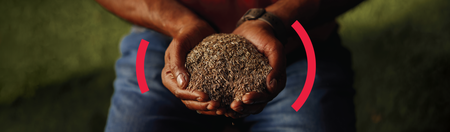 Navigating the complexities of integrating sustainability in business strategy