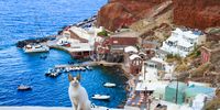 Street kitty in Ammoudi Bay, Santorini. Photographer: Romi Boom<br>
