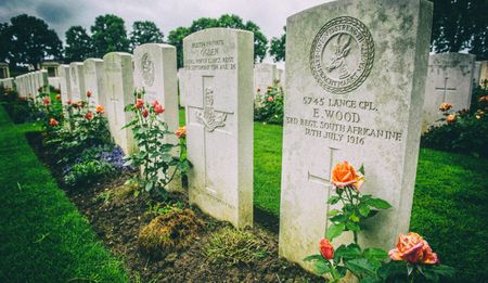 Into Devil’s Wood: Where poppies grow and South African men came to die