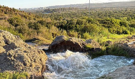 Hero dirt bikers spot major NMB water leak, ‘saving Despatch from crisis’