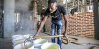 Ricardo Mabuku pours soup into buckets at the Woodstock Brewery. (Photo: Zeke du Plessis)