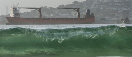 Lady R fallout — SA’s perceived partisanship cloaked in neutrality may spell economic disaster