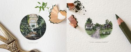 Art: The Fynbos After The Fire