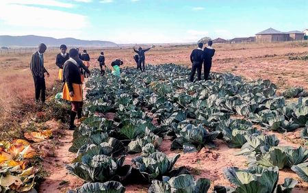 Mass school food poisoning — 156 children rushed to Eastern Cape hospitals