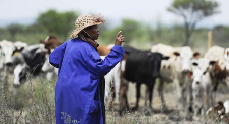 Digital skills will give Africa’s women a growing chance of competing in agriculture