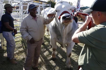 Inside NAMPO: South Africa’s agricultural exhibition in the Free State