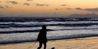 For the love of dogs. Strand beach 12 September. <br>
