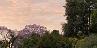 Harmony of Colours, Joburg.