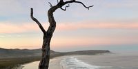 Noordhoek beach at sunrise. Photographer: Wendy Hogarth 