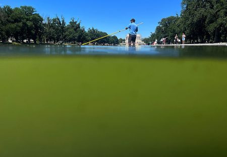 Washington’s Reflecting Pool needs repairs weeks after renovation