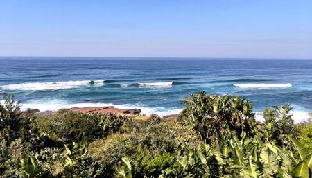 People of Pennington: Tidy Towns pulls South Coast town into competition finals