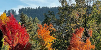 Fall Boulder Colorado. Photographer: Matt Botha<br>