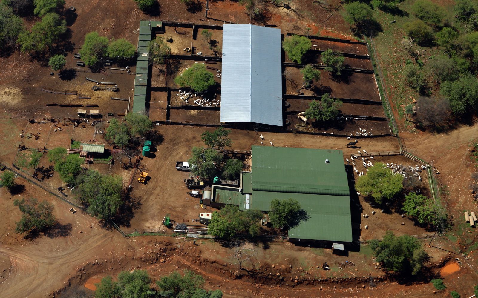 sheep farm to illustrate farmer title deeds story