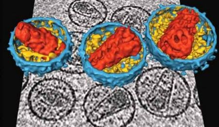 GroundUp: South Africa’s HIV treatment programme – a phoenix rising from the ashes?