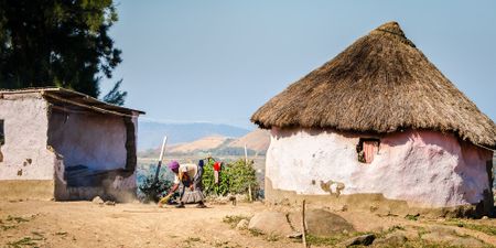 Ingonyama Trust’s rent-seeking declared unlawful by high court