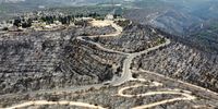 epa09420244 A general view of a burned forest near Moshav Ramat Raziel in Jerusalem hills near Jerusalem, Israel, 19 August 2021. According to Israel's Fire and Rescue Service, over 6,000 acres of brush land and forest were burned in the huge wildfire that spread in Jerusalem hills.  EPA-EFE/ABIR SULTAN