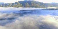 Misty winter morning in Villiersdorp. Photographer: David Bradley<br>