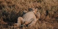 I’m not fat, I’m fluffy! Photographer: Calli Allan