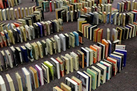 Countdown to the Open Book Festival: A learning powerhouse that adds colour to our cognitive deficits