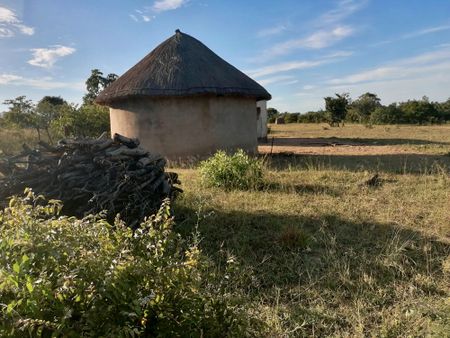 I left Zimbabwe to live in South Africa and I want to go back, but this is why it’s not so simple