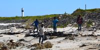 "Kelp gatherers on a Sunday with Hangklip lighthouse in the background." Image: Ilse Zietsman