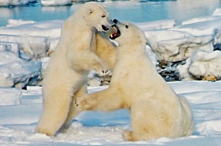 All hail the brave new world of Chimerica