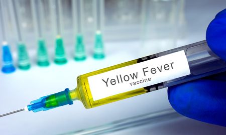 The global future of vaccines and why we should not forget the yellow fever story