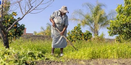 Nature doesn’t wait — agricultural financing needs to be agile to be effective