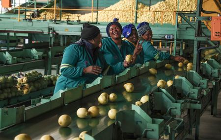 ‘Parallel governance’ — Sundays River citrus farmers fill the cracks in municipal service delivery